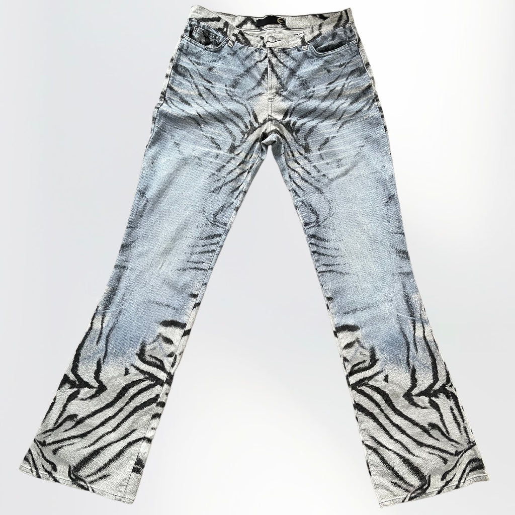Cavalli Printed Jeans (31)